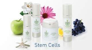 Stem Cell Products